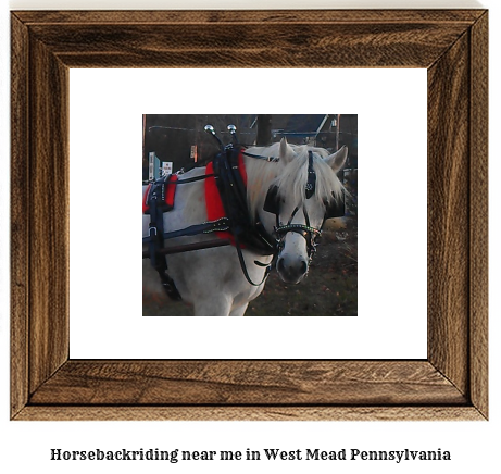 horseback riding near me in West Mead, Pennsylvania